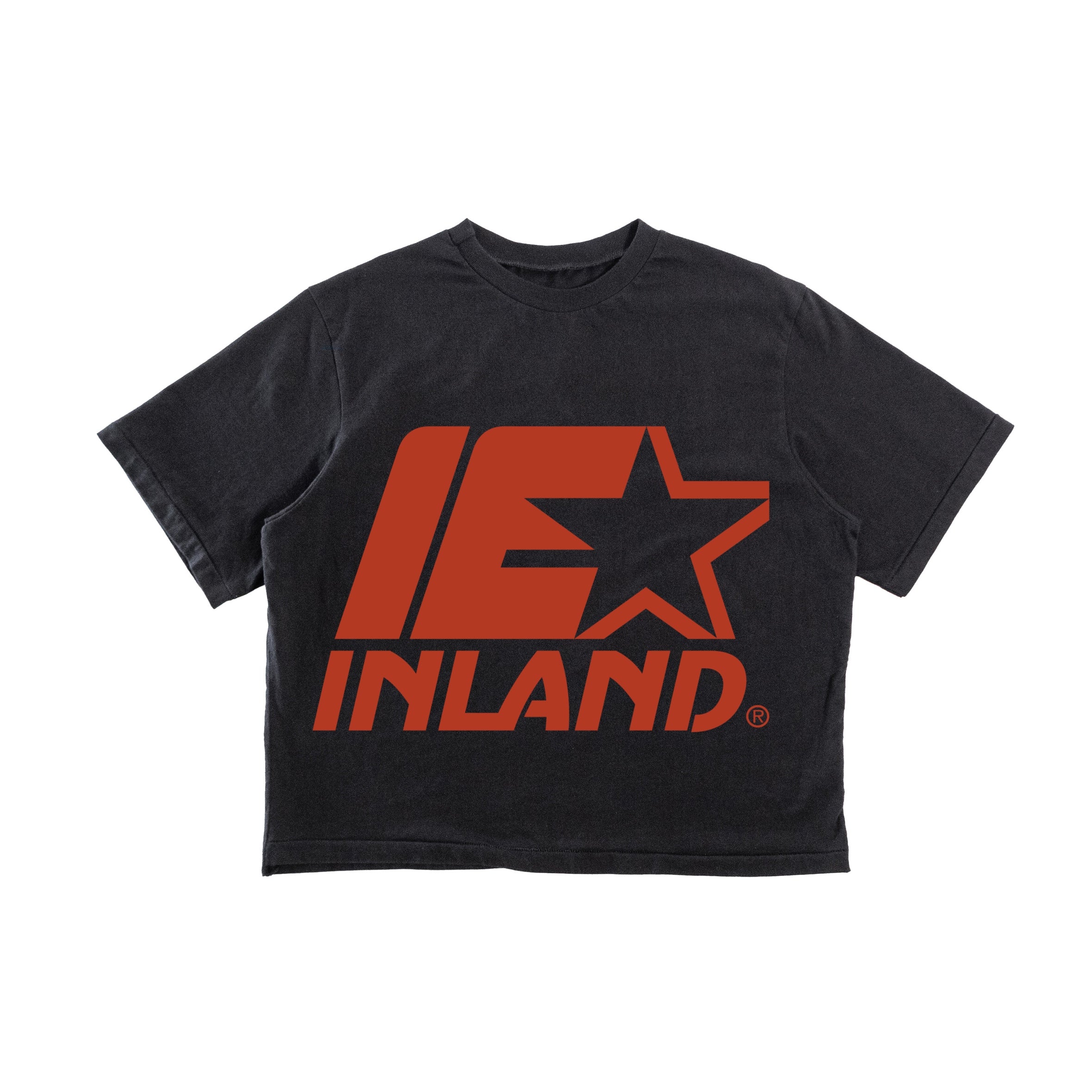 BLACK BASIC / BRICK LOGO